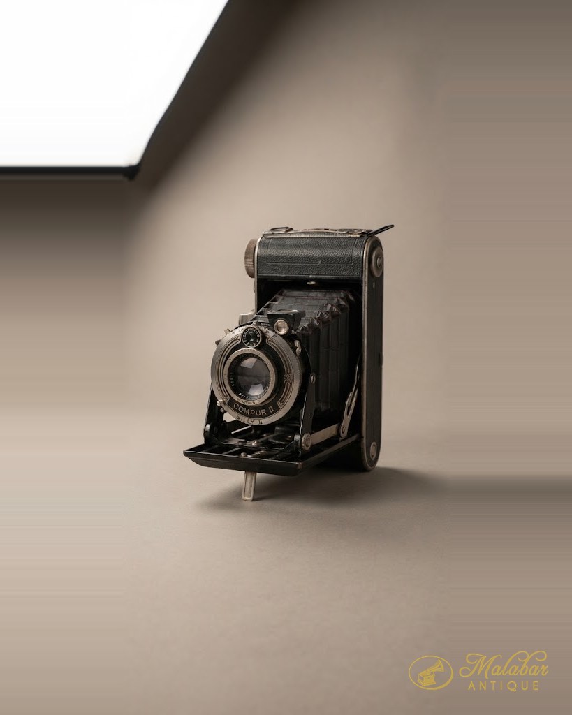 Folding plate camera with leather bellows and a chromed shutter housing.